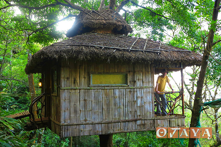 Sukaishi David in the jungles of India