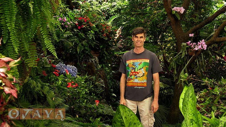 Gary in the Earthborn Rainforest