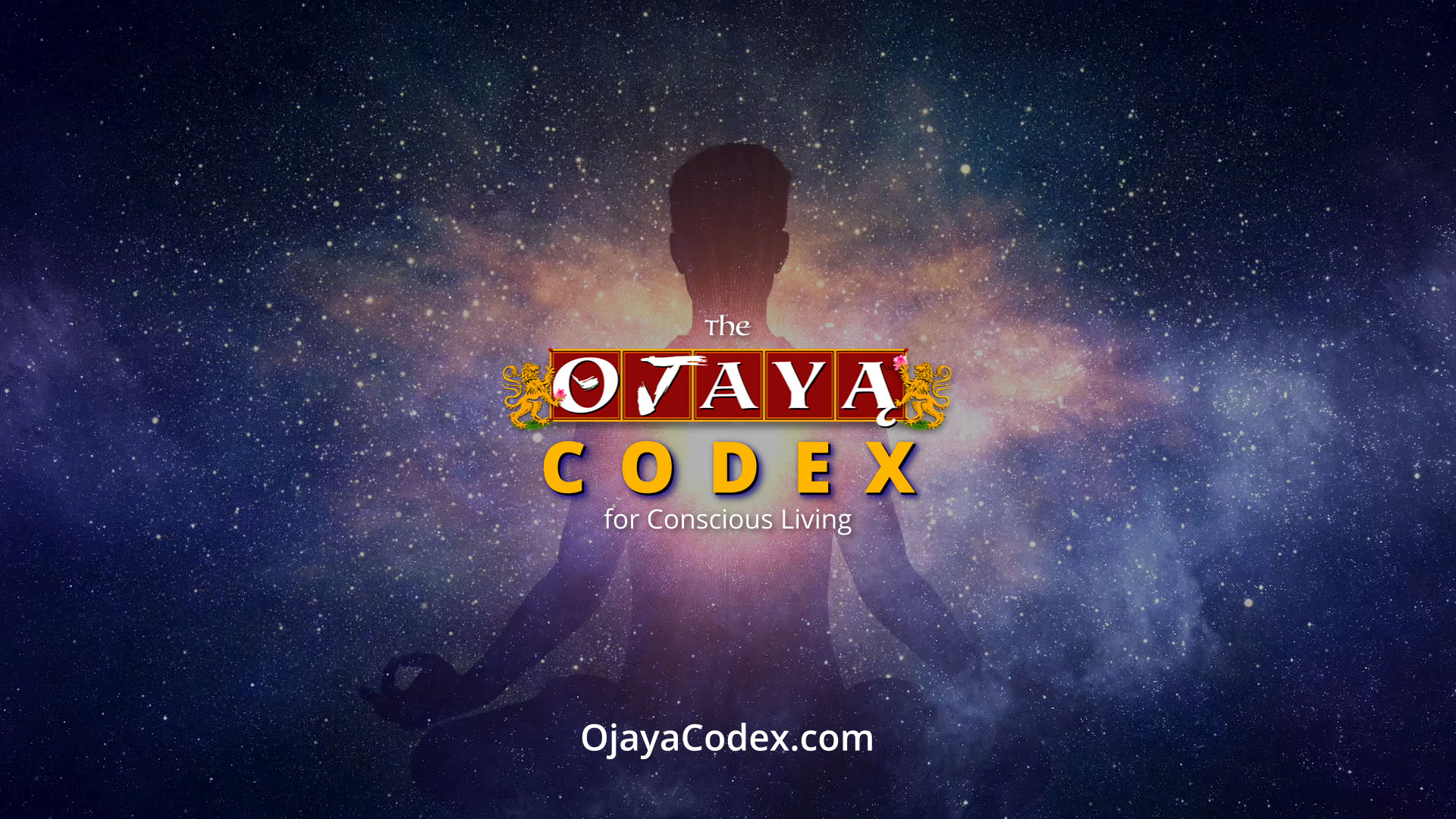 Codex Intro Lesson thumb